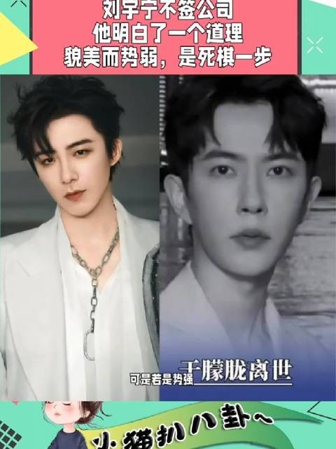 通过于朦胧事件，才明白刘宇宁为什么不签公司，他真的很通透