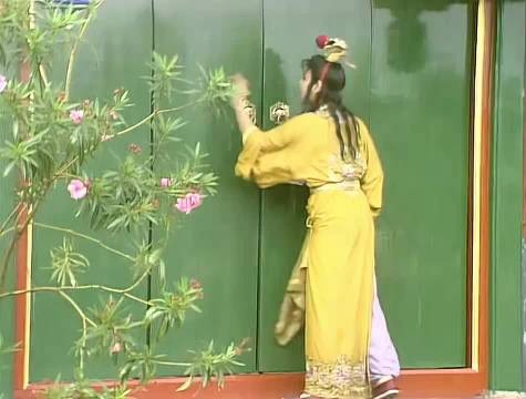 贾宝玉狠狠踹了袭人一脚，一不小心，把偷试云雨情的孽种给流了