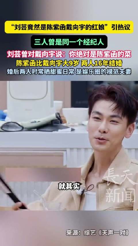 刘芸竟然是陈紫函戴向宇的红娘