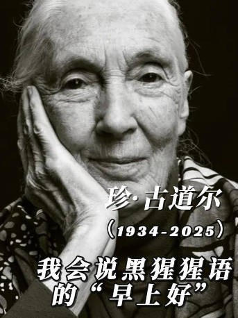 珍·古道尔(1934-2025):我会说黑猩猩语的“早上好”