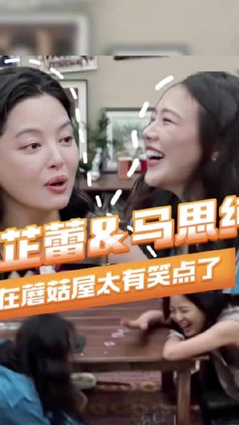 辛芷蕾马思纯在蘑菇屋太有笑点了 两位影后就这么搞笑哈哈哈！