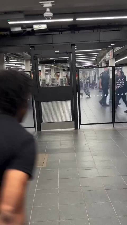 都把我看呆了!黑哥在美国逃票似乎是合法的......旁边的珀利斯假装没看到