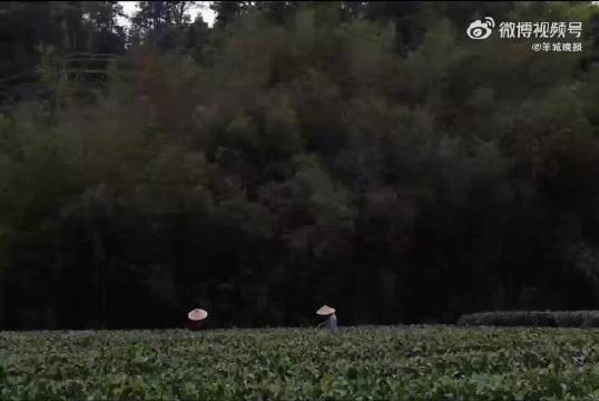 李亚鹏与妻子海哈金喜官宣离婚，孩子跟随母亲生活，由双方抚养