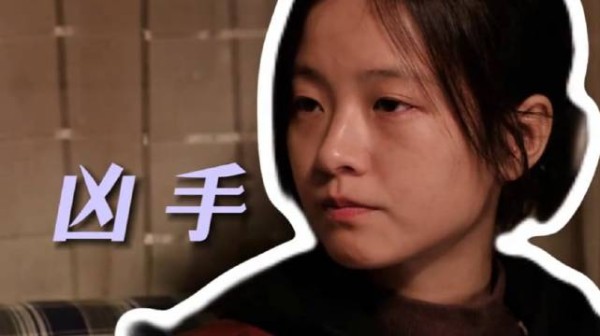 吴细妹竟是凶手,骗保救子一切都是吴细妹设的局~黄轩 李庚希 张哲华