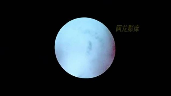 一口气看完甄子丹早期唯一一部经典恐怖港片《魔唇劫》