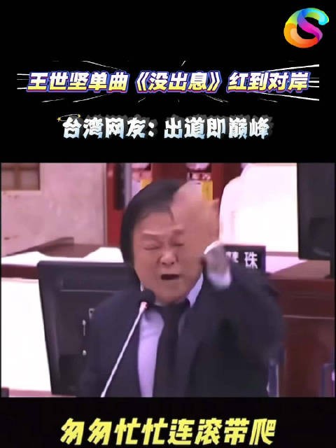 王世坚金句魔改洗脑，两岸网友加入单曲循环