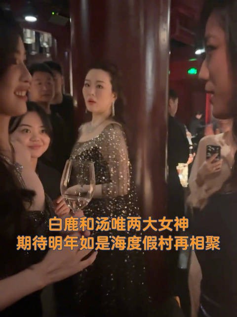 汤唯、白鹿两个大美女在晚宴上已经聊的不只天地为何物了，求一个合作