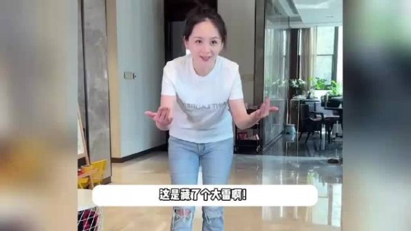 邓莎老公被曝曾行贿千万元，《再见爱人5》开播后辞职，坦言工作不顺利