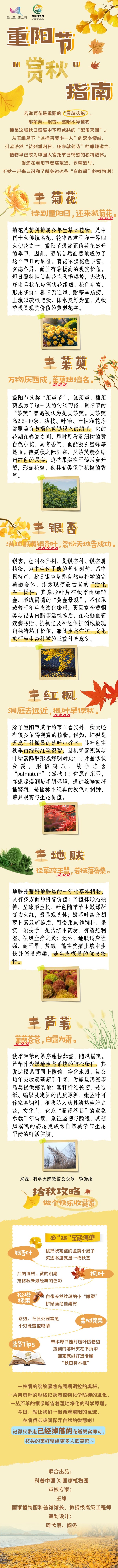 重阳节“赏秋”指南，带你读懂秋天的植物密码