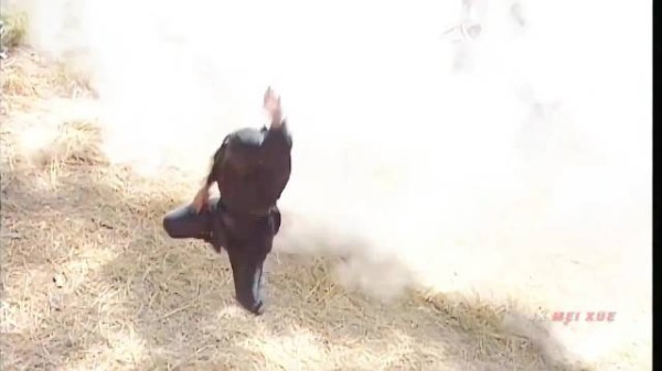 中国武侠的顶级浪漫——轻功,太潇洒飘逸了