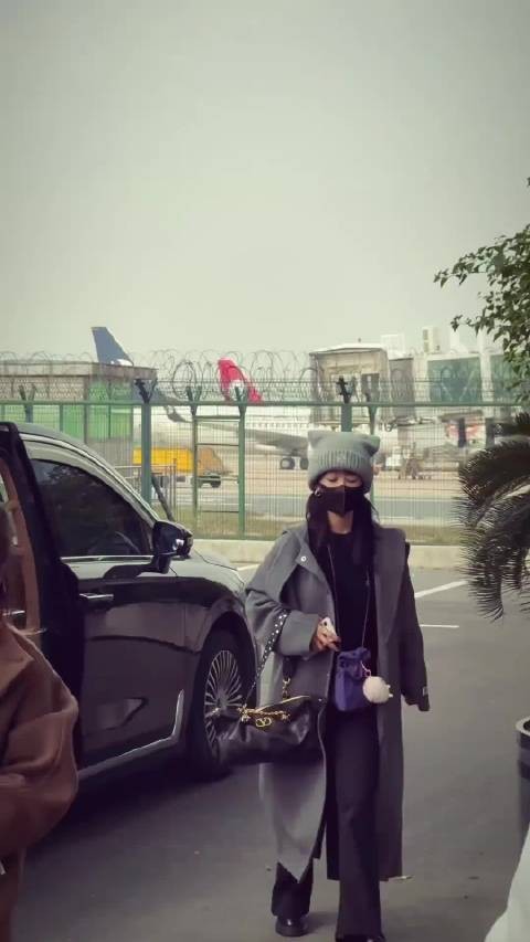 杨紫董竹君这是连轴转啊