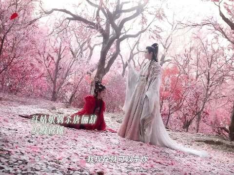 水龙吟主演罗云熙林允等亮相微博视界大会