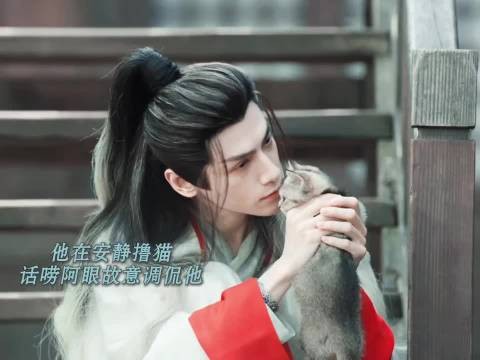 水龙吟被曝有四个微信群,成员互动细节曝光