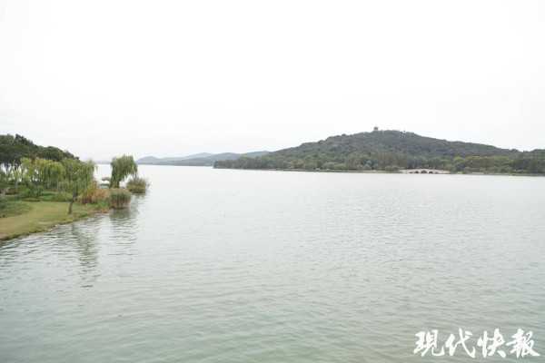 2025全国地方媒体总编辑看无锡|无锡“乐读慢岛”:音乐为媒,激活城市文旅新活力