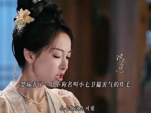 楚瑜养了一只小狗名叫小七卫韫害气的炸毛，我们的小侯爷动了凡心不自知