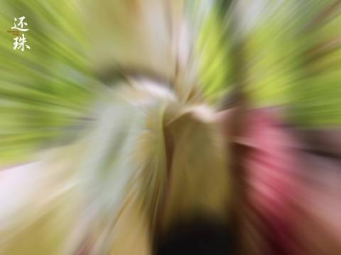 导演揭秘短剧还珠选角罗一舟胡连馨,落水救赎戏获赞