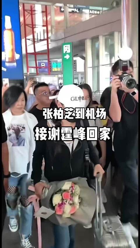 张柏芝谢霆锋机场低调同框引热议