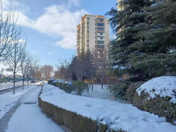 七律 初雪(外三首)