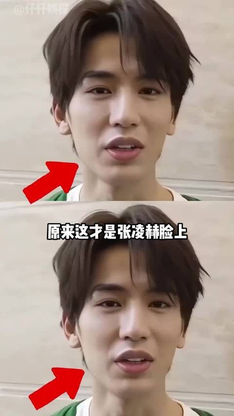 张凌赫贾玲同现猫咪纹,揭秘演员幕后辛酸