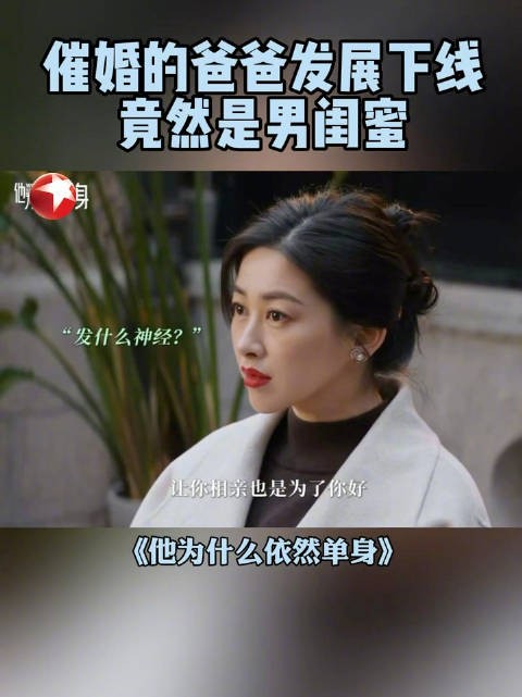 朱珠新剧《他为什么依然单身》东方卫视热播