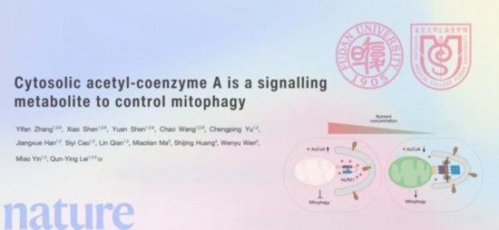  雷群英团队在《自然》发表论文。受访者供图