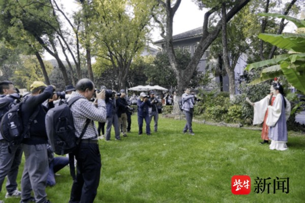 这场银杏与红楼的约会,尽显东方美学的独特魅力