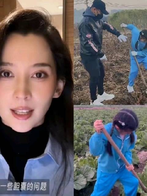 森林北晒病例需照顾，汪峰携女挖红薯引争议