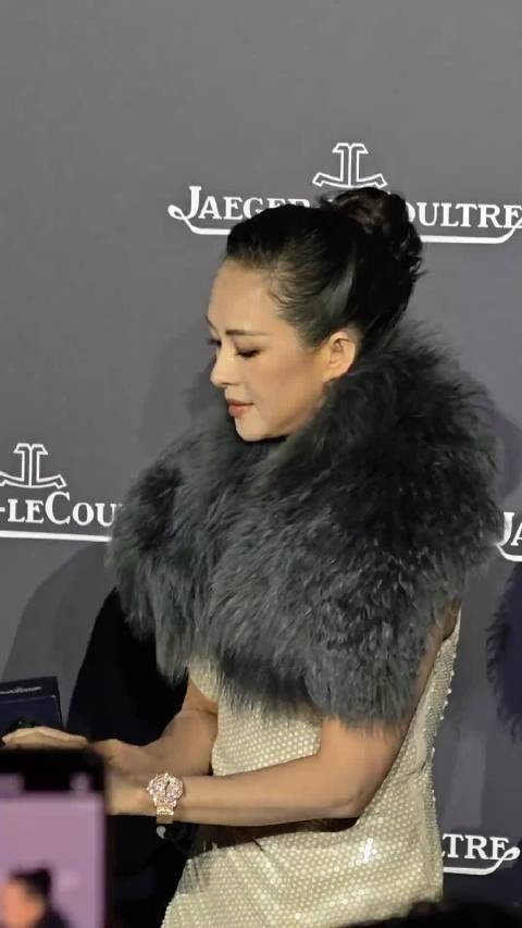 汪峰葛荟婕女儿小苹果与生母失联，称后妈章子怡为妈妈