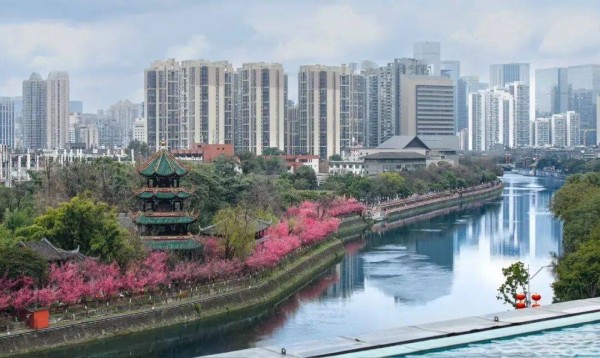 散文||水墨丹青锦官城