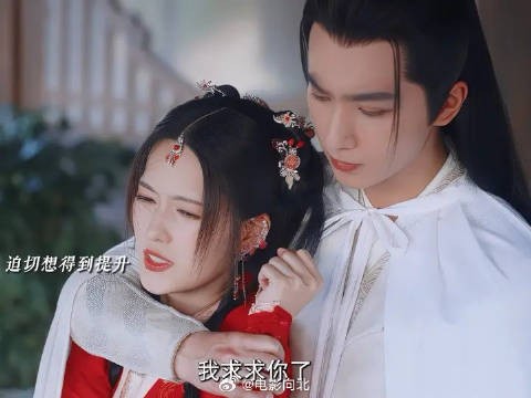 社牛小太阳×清冷恋爱脑，从结伴历练到携手飞升，这恋爱甜度超标了！