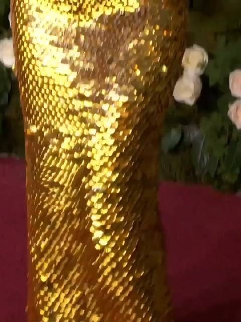 82届金球奖红毯 《阿诺拉》女主角米奇·麦迪森