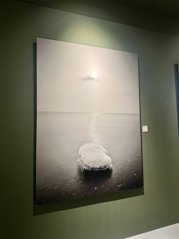 艺术家能被“培养”吗？