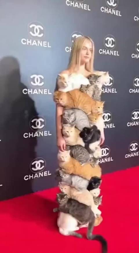 你看人家这衣服才是真皮草