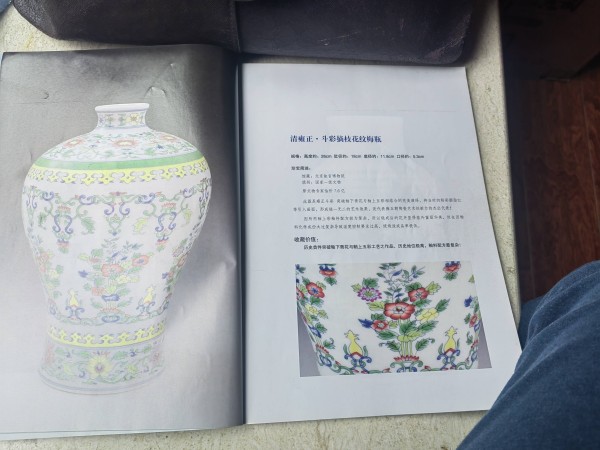 清雍正·斗彩摘枝花纹梅瓶