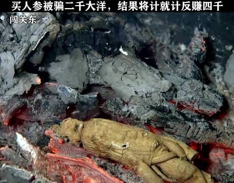 买人参被骗两千大洋,结果将计就计反赚4000 , 闯关东:李幼斌 朱亚文 宋佳