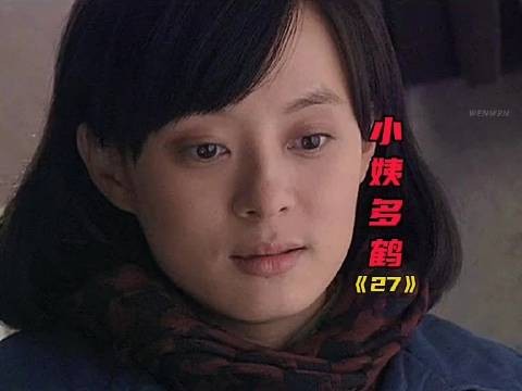 小姨多鹤:小环中风二孩被关,刚子反目多鹤撑家