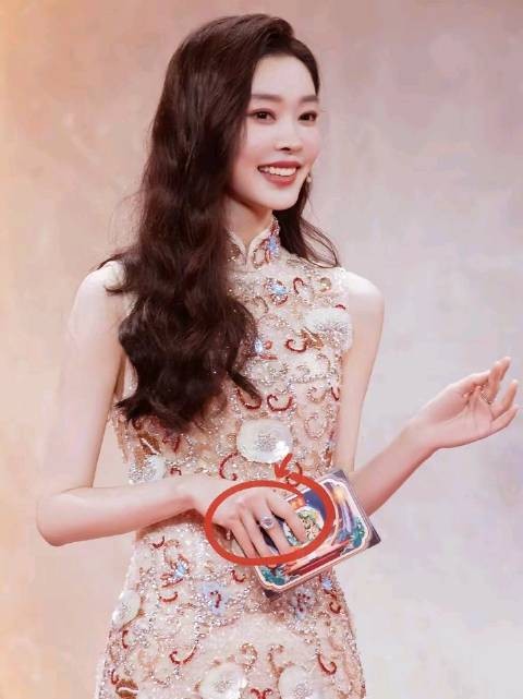 宋轶坦言于曼丽角色改变退圈决定