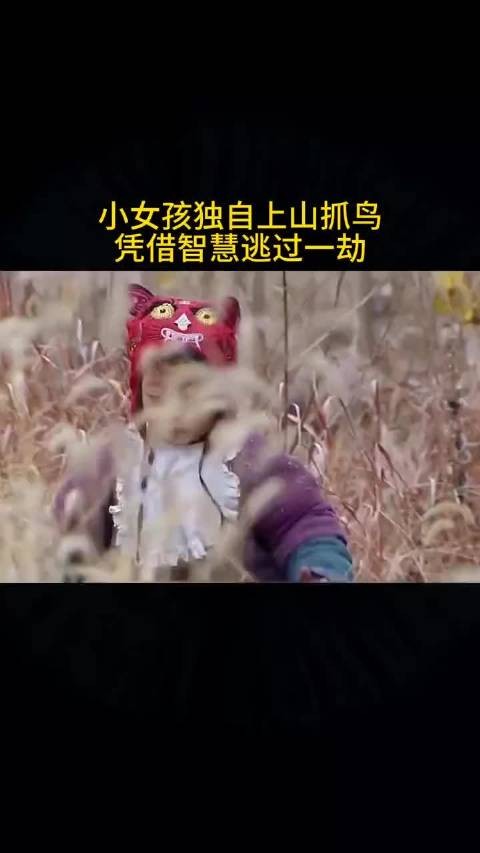 小女孩独自上山抓鸟 过人的智慧逃过一劫