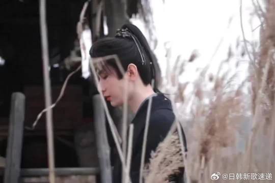 就说没那么圣母心~太狠了,不愧是年度复仇爽剧!