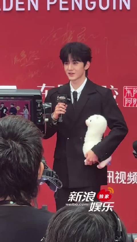 王弘毅戴滤镜手镯携羊驼亮相红毯，谈挑战诠释苏橙橙