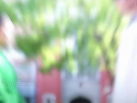 好明媚的聂曦光好漂亮的赵今麦