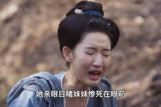 她亲眼目睹妹妹身亡在眼前,却在一年后的梅花宴上成了丞相府儿媳