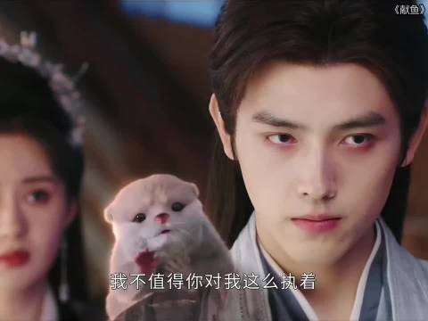 萌到心巴！又是被停雁水獭可爱的一天 .