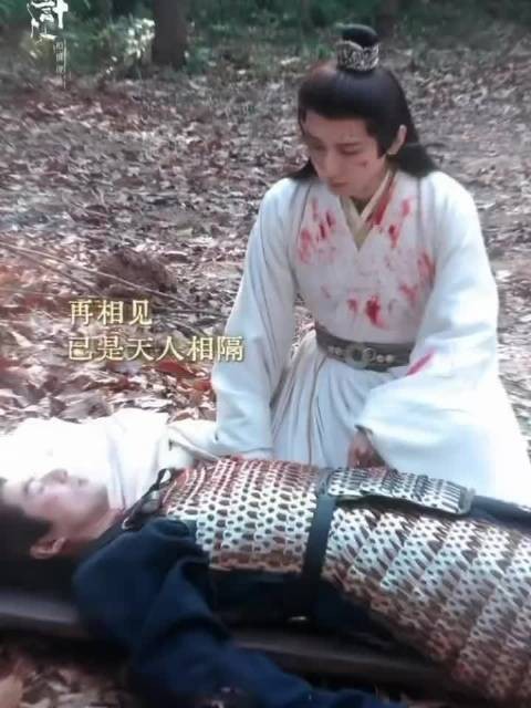 谢淮安含泪剖尸取兵符，顾玉舍生留线索