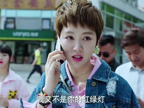 《美好生活》张嘉译李小冉宋丹丹牛莉主演家庭剧