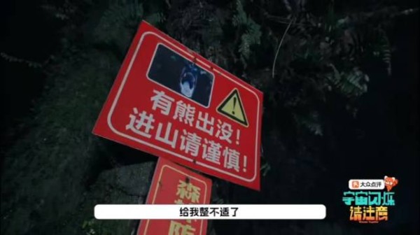 刘耀文安抚受惊王鹤棣,哀牢山暖心互动获赞