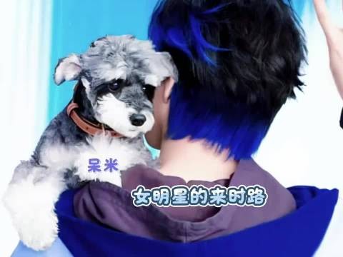 从忍辱负重到大红大紫的呆米女明星～ 刘宇宁 刘呆米 刘宇宁直播 搞笑