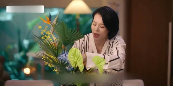 双向奔赴的爱与托底才是真正幸福