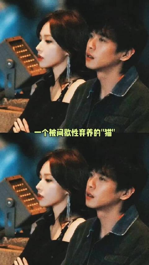 俩人有种莫名的cp感，龙卷风完全是间歇性弃养的猫和嘴硬心软的主人