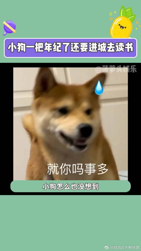 小美调侃对方担心其教育跟不上